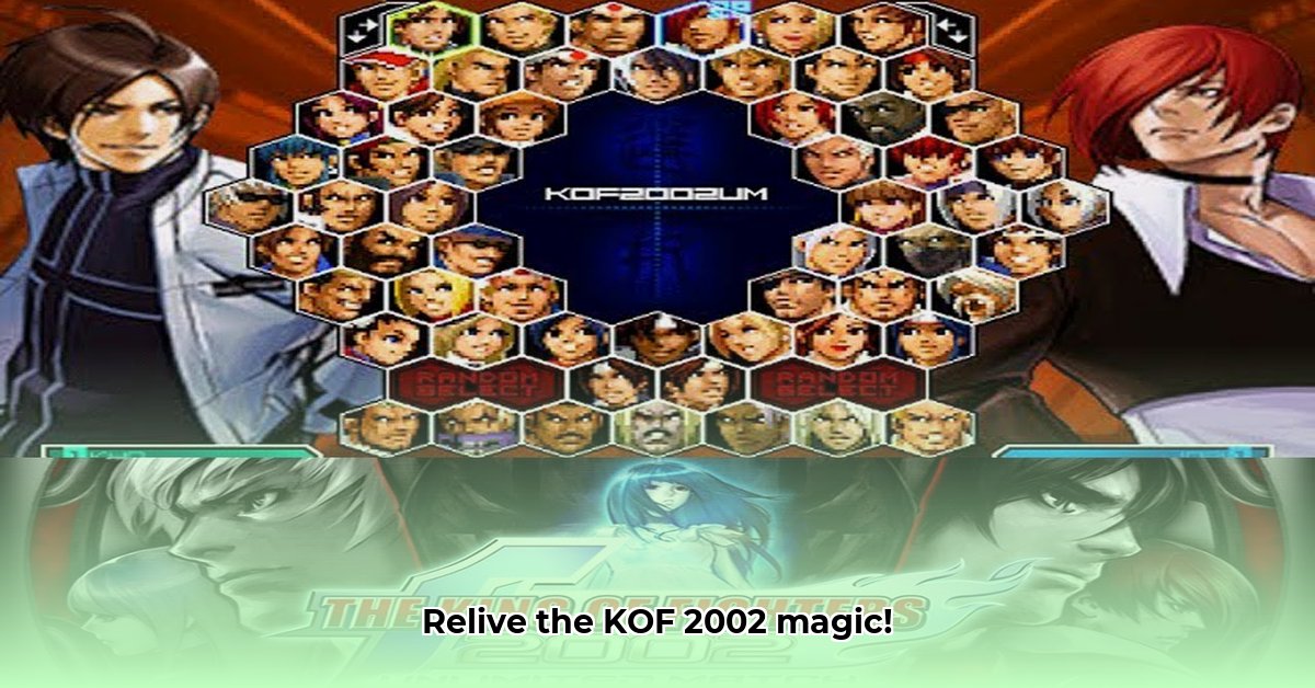 roms-ps2-kof-2002
